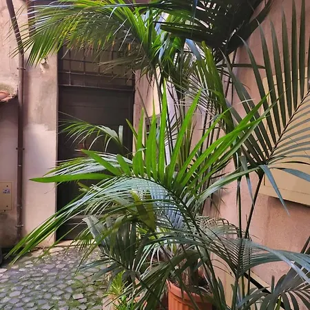 The Fox Cove Apartment Rome Exterior photo